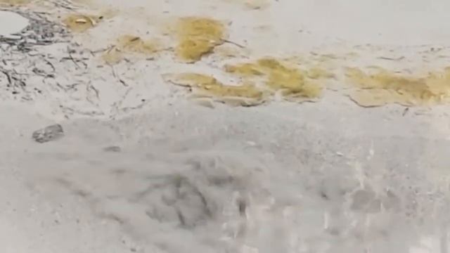 Какая вода полезнее: сырая, кипячёная или минеральная?