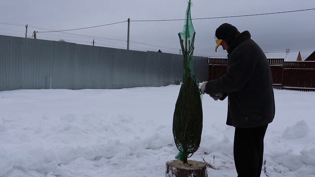 Подготовка к новому году. С новым годом всех!