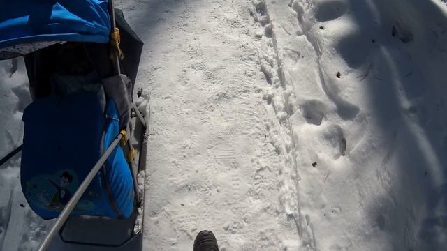 Рудничный бор, Кемерово. Тест камеры SJ8 PRO 1080 60fps смотреть онлайн