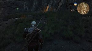 Ведьмак 3. Магический жёлудь с Лысой горы. Для чего он нужен,  и что с ним делать?