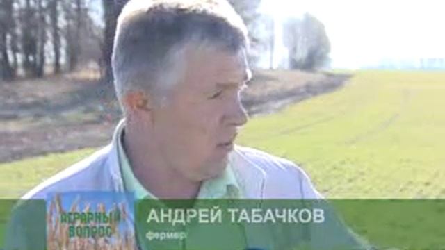 Весенняя посевная. Господдержка села: от кого зависит независимая погектарная поддержка? Производите