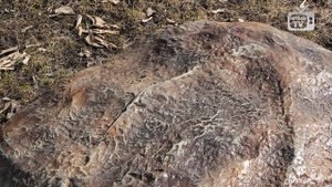 Декоративные искусственные камни для сада ? Крышка люка Хитсад - садовая сантехника