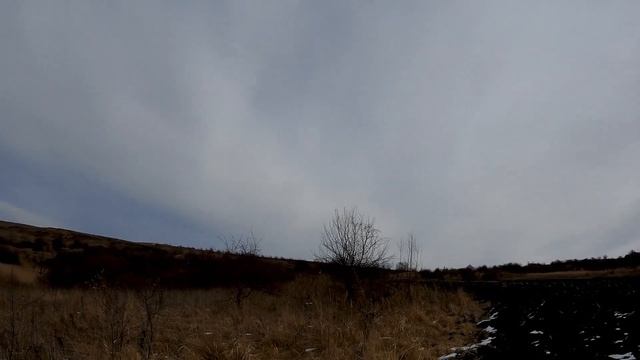 Охота на хищника в предгорье Кавказа.