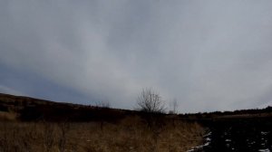 Охота на хищника в предгорье Кавказа.