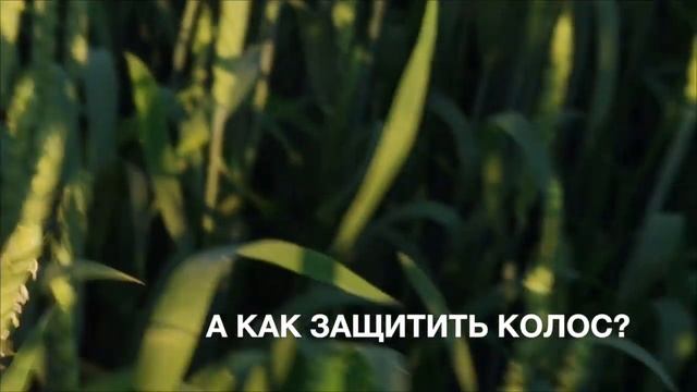 Демонстрация выбора пестицидов по вредителю и болезни растений