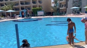 Отель Марина Хотелюкс/HOTELUX MARINA BEACH HURGHADA 4* Хургада. Обзор от турагента Оксаны Шило.