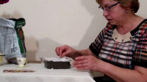 РАЗМНОЖЕНИЕ ПРИМУЛЫ СЕМЕНАМИ. САЖАЕМ ПРИМУЛУ В СНЕГ. ПРОСТОЙ И ЭФФЕКТИВНЫЙ СПОСОБ ПРОРАЩИВАНИЯ.