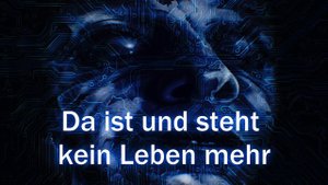 Till Lindemann - Du Hast Kein Herz - Lyrics Video (With English Translation)