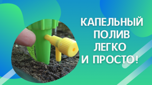 Простая система капельного полива