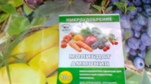 Молибдат аммония. Для капусты и бобовых.
