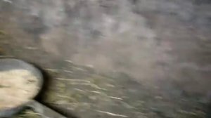 Размножение кроликов. Запустил в яму нового самца