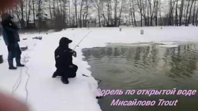 Мисайлово Trout Активная форель
