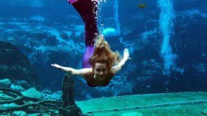 "Tail Mail" with Weeki Wachee Mermaid Paisley from Magnolia in Tallahassee, FL