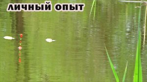 8 особенностей ловли карася весной на карасёвом пруду.mp4