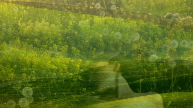 Мне кажется... - читает автор Елена КУРЕЛЛА смотреть онлайн