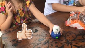 Игрушки из мультика ТАЙНАЯ ЖИЗНЬ ДОМАШНИХ ЖИВОТНЫХ 2 Хэппи Мил Макдональдс