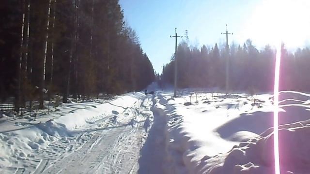мотособака в действии смотреть онлайн
