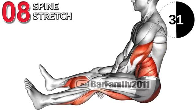 Упражнения на Гибкость (Растяжка для Здоровья)