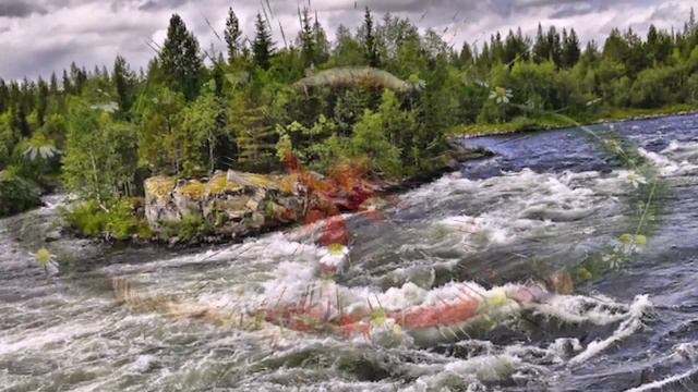 РУСЬ ТЫ МОЯ смотреть онлайн