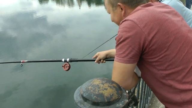 Впервые на хариуса, река Иргина, Суксунский пруд, смотреть до конца смотреть онлайн