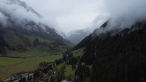 Красивая природа, лес и горы... #природа #горы #лес