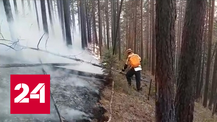 Борьба с лесными пожарами продолжается в 16 регионах - Россия 24