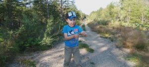 Прогулка по лесу. Ловим кузнечиков. Видео 4