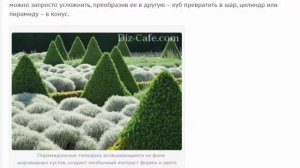 Техники создания зеленых фигур