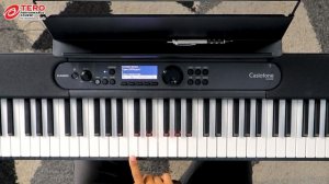 รีวิวคีย์บอร์ดไฟฟ้า CASIO LK-S450 สวยเท่ มีไฟ มือใหม่ใช้ง่าย มือโปรใช้คล่อง!