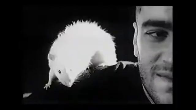 Я Остаюсь! Анатолий Крупнов...👍🙏🙏🙏 РЕСПЕКТ музыкантам и уважение!!! 💐💐💐💞 смотреть онлайн