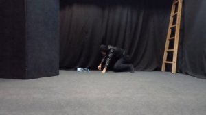 Этюд животные Обезьяна (горила)