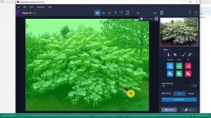 Обработка изображений в программе Corel Photo-Paint. Выделение и обрезка (фрагменты урока).