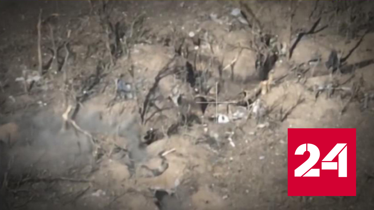 Подвиг морпеха Дмитрия Егорова сорвал атаку противника - Россия 24