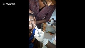 Достают рыбу из носа