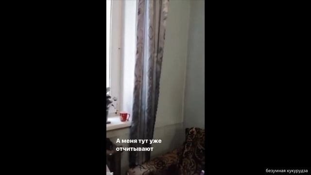 Кто такой Саня Бык? смотреть онлайн