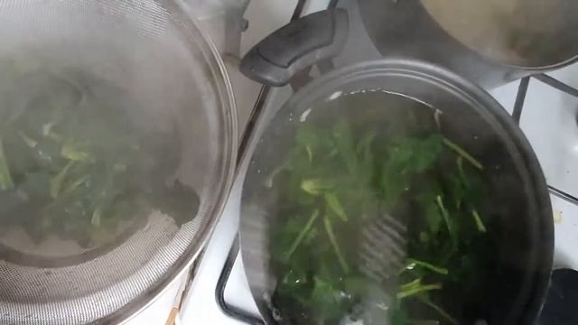 Готовим Салат из шпината. Spinach salad. 시금치 무침 смотреть онлайн