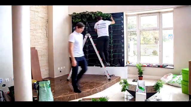 Green's Wall  Вертикальный сад на стене  Озеленение интерьера