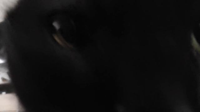 Different Galaxy Devblog #1 смотреть онлайн