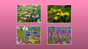 Стиль поворот с переворотом и сменой фото в PTE AV Studio