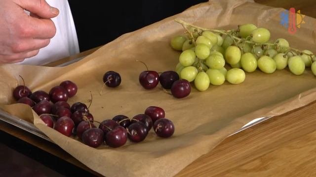 Шоковая заморозка ягод на оборудовании Кобальт