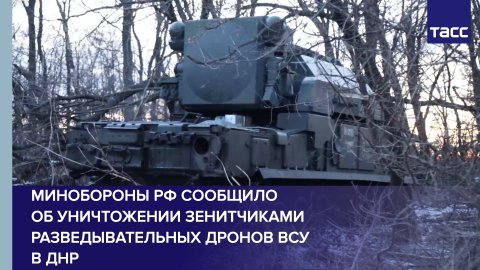 Минобороны РФ сообщило об уничтожении зенитчиками разведывательных дронов ВСУ в ДНР