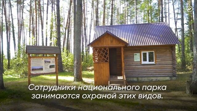 Национальный парк «Орловское полесье» смотреть онлайн