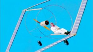 ЧЕМ ЗНАМЕНИТ БАМБУК