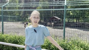 Правила поведения в зоопарке