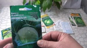 Сорта капусты на сезон 2022 год для Сибири