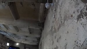 Чем вакцинирую свиней/Дезинфекция для сарая/Видеонаблюдение сарая