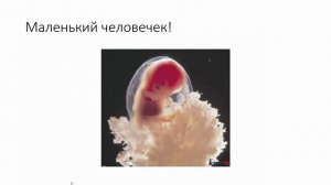 8 неделя беременности, что происходит с женщиной