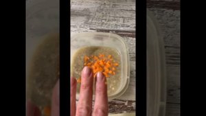 Готовим торт для собак и кошек #тортдлясобак #тортдлякошек