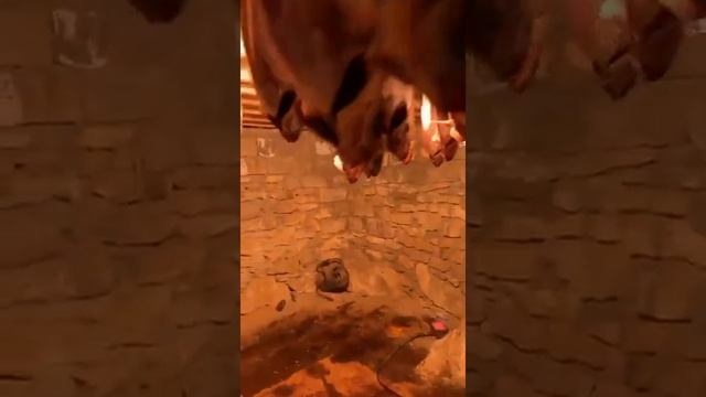 кутум вяленый малосольный