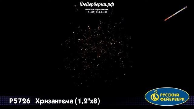 Р5726: Хризантема